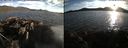 ./images/rivers-inlet/ethel/20210624/ethel20210624_203957.jpg