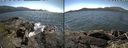 ./images/rivers-inlet/ethel/20210625/ethel20210625_140457.jpg