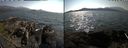 ./images/rivers-inlet/ethel/20210627/ethel20210627_165457.jpg