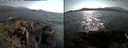 ./images/rivers-inlet/ethel/20210627/ethel20210627_173957.jpg