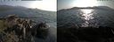 ./images/rivers-inlet/ethel/20210629/ethel20210629_183957.jpg