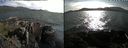 ./images/rivers-inlet/ethel/20210702/ethel20210702_182457.jpg