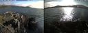 ./images/rivers-inlet/ethel/20210704/ethel20210704_185457.jpg