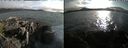 ./images/rivers-inlet/ethel/20210704/ethel20210704_192957.jpg