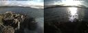 ./images/rivers-inlet/ethel/20210704/ethel20210704_194957.jpg