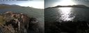 ./images/rivers-inlet/ethel/20210705/ethel20210705_181957.jpg