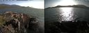 ./images/rivers-inlet/ethel/20210705/ethel20210705_182957.jpg