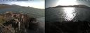 ./images/rivers-inlet/ethel/20210706/ethel20210706_184957.jpg