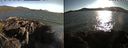 ./images/rivers-inlet/ethel/20210708/ethel20210708_193956.jpg