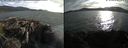./images/rivers-inlet/ethel/20210709/ethel20210709_194956.jpg