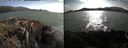 ./images/rivers-inlet/ethel/20210710/ethel20210710_182956.jpg