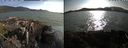 ./images/rivers-inlet/ethel/20210710/ethel20210710_184456.jpg