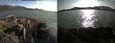 ./images/rivers-inlet/ethel/20210710/ethel20210710_184956.jpg