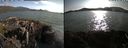 ./images/rivers-inlet/ethel/20210710/ethel20210710_185956.jpg