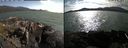 ./images/rivers-inlet/ethel/20210712/ethel20210712_174456.jpg