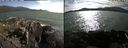 ./images/rivers-inlet/ethel/20210712/ethel20210712_174956.jpg
