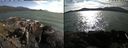 ./images/rivers-inlet/ethel/20210712/ethel20210712_175456.jpg