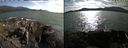 ./images/rivers-inlet/ethel/20210712/ethel20210712_175956.jpg