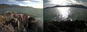 ./images/rivers-inlet/ethel/20210712/ethel20210712_181956.jpg