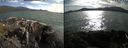 ./images/rivers-inlet/ethel/20210712/ethel20210712_182456.jpg