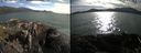 ./images/rivers-inlet/ethel/20210712/ethel20210712_182956.jpg