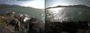 ./images/rivers-inlet/ethel/20210713/ethel20210713_165956.jpg