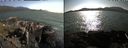 ./images/rivers-inlet/ethel/20210713/ethel20210713_175956.jpg