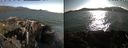 ./images/rivers-inlet/ethel/20210713/ethel20210713_185456.jpg