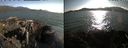 ./images/rivers-inlet/ethel/20210713/ethel20210713_185956.jpg