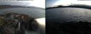 ./images/rivers-inlet/ethel/20210713/ethel20210713_215456.jpg