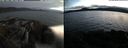 ./images/rivers-inlet/ethel/20210713/ethel20210713_220956.jpg