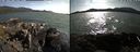 ./images/rivers-inlet/ethel/20210714/ethel20210714_174956.jpg