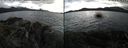 ./images/rivers-inlet/ethel/20210726/ethel20210726_181956.jpg