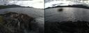 ./images/rivers-inlet/ethel/20210726/ethel20210726_194955.jpg