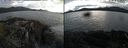 ./images/rivers-inlet/ethel/20210726/ethel20210726_195456.jpg