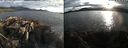 ./images/rivers-inlet/ethel/20210726/ethel20210726_201455.jpg