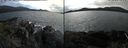 ./images/rivers-inlet/ethel/20210727/ethel20210727_162955.jpg