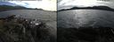 ./images/rivers-inlet/ethel/20210728/ethel20210728_174455.jpg