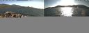 ./images/rivers-inlet/ethel/20210729/ethel20210729_184955.jpg