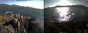 ./images/rivers-inlet/ethel/20210731/ethel20210731_181955.jpg