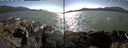 ./images/rivers-inlet/ethel/20210812/ethel20210812_161454.jpg