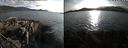 ./images/rivers-inlet/ethel/20210819/ethel20210819_184954.jpg