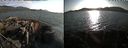 ./images/rivers-inlet/ethel/20210820/ethel20210820_184954.jpg
