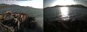 ./images/rivers-inlet/ethel/20210820/ethel20210820_185454.jpg