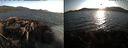 ./images/rivers-inlet/ethel/20210820/ethel20210820_193954.jpg