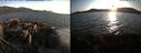 ./images/rivers-inlet/ethel/20210820/ethel20210820_194954.jpg