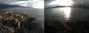 ./images/rivers-inlet/ethel/20210821/ethel20210821_191454.jpg
