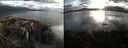 ./images/rivers-inlet/ethel/20210822/ethel20210822_193954.jpg