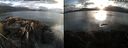 ./images/rivers-inlet/ethel/20210822/ethel20210822_194454.jpg