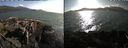 ./images/rivers-inlet/ethel/20210823/ethel20210823_175954.jpg